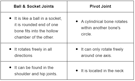 Long Questions: Body Movements | NCERT Summary: UPSC
