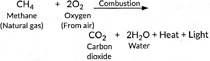 Class 10 Science Chapter 4 Previous Year Questions - Carbon and its compounds
