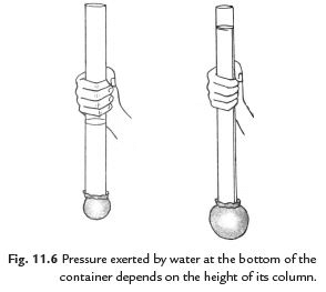 Short and Long Answer Questions: Pressure, Winds, Storms, and Cyclones | Science Curiosity Class 8 -  New NCERT