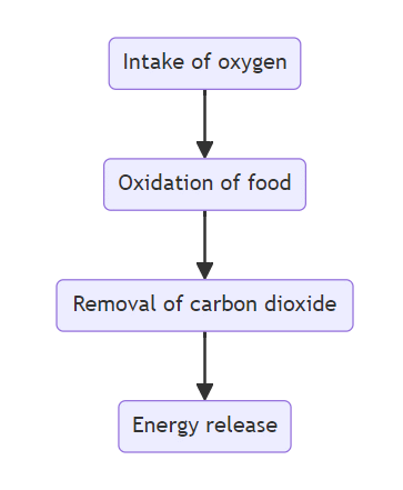 Mnemonics: Life Processes | Science Class 10
