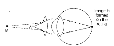 Class 10 Science: CBSE Sample Question Paper (2019-20) - 6 | Science Class 10
