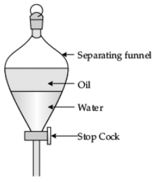 Class 9 Science: Sample Question Paper- 1 (With Solutions)