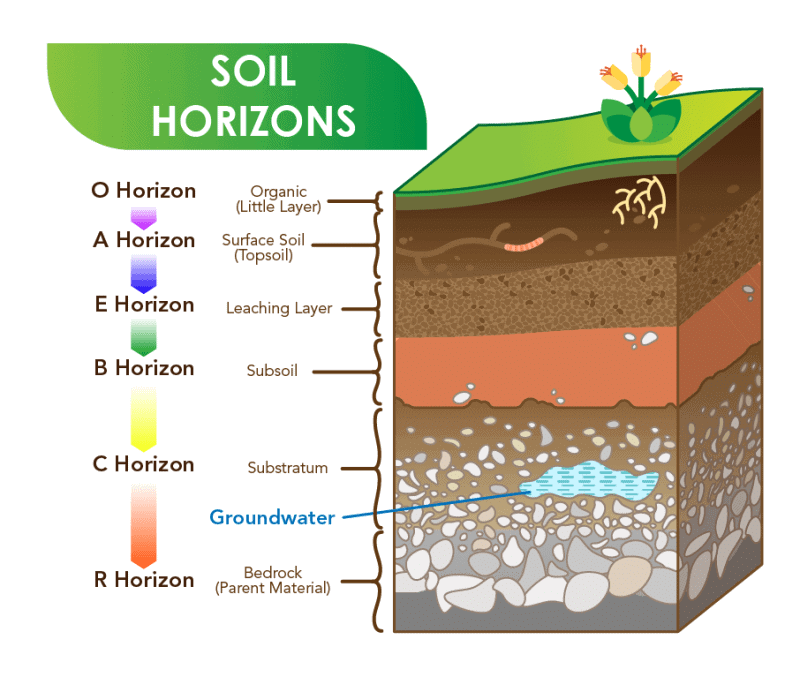 Natural Resources | Chemistry for Grade 10