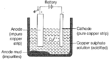 Class 10 Science: CBSE Sample Question Paper (2019-20) - 5 | Science Class 10