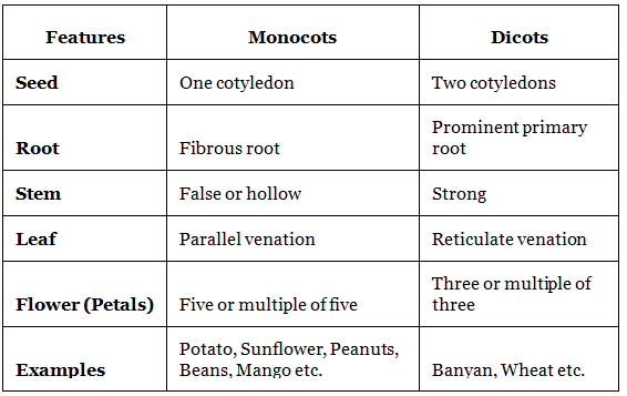 Diversity in Living Organisms Summary Class 9 Science