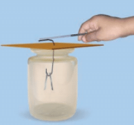 NCERT Exemplar Solutions: Some Natural Phenomena | Science Class 8
