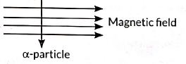 Class 10 Science Chapter 12 Previous Year Questions - Magnetic Effects of Current