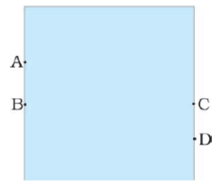 NCERT Exemplar Solutions: Force and Pressure | Science Class 8