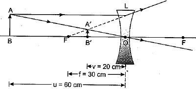 Class 10 Science: CBSE Sample Question Paper (2019-20) - 1 | Science Class 10