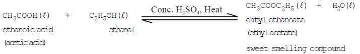 Some Important Carbon Compounds – Ethanol And Ethanoic Acid | Science Class 10
