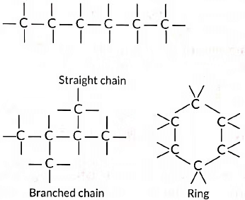 Important Questions: Carbon and its compounds | Science Class 10