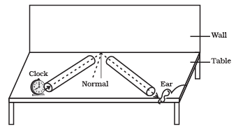 Important Diagrams: Sound | Science Class 9