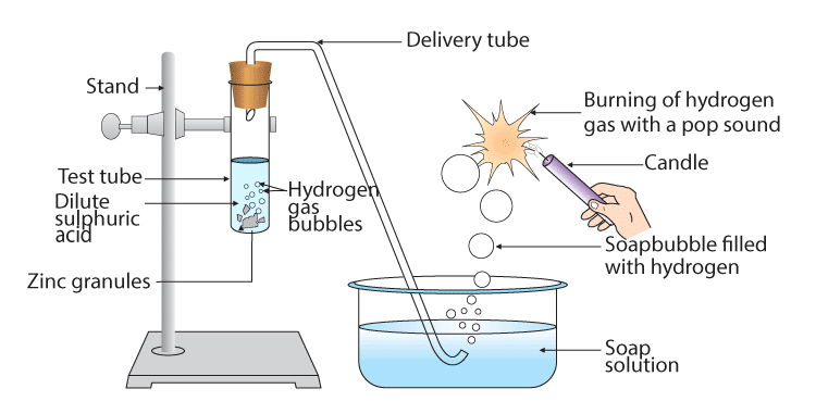 NCERT Exemplar: Acids, Bases & Salts | Science Class 10