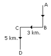 Science Olympiad Model Test Paper - 3 | Science Olympiad Class 8