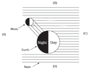 NCERT Exemplar Solutions: Stars and the Solar System - Class 8