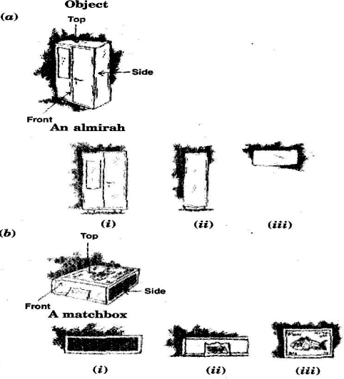 Visualising Solid Shapes NCERT Solutions - Class 8