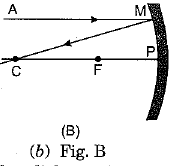 Class 10 Science: CBSE Sample Question Paper (2019-20) - 7 | Science Class 10