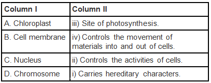 NCERT Exemplar Solutions: Cell - Structure & Functions | Science Olympiad Class 8