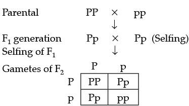Class 10 Science: CBSE Sample Question Paper (2020-21) - 1 | Science Class 10