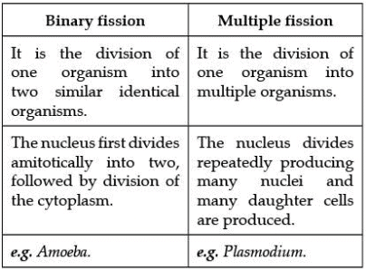 Class 10 Science: CBSE Sample Question Paper (2020-21) - 6 | Science Class 10