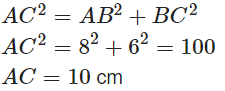 Triangles Class 10 Worksheet Maths Chapter 6