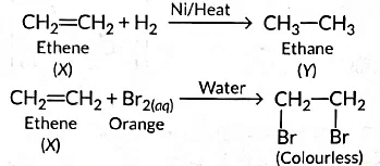 Previous Year Questions 2020
