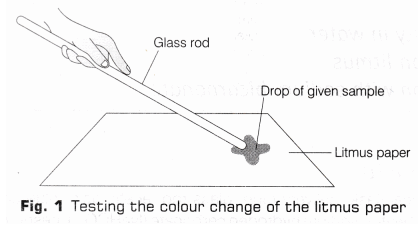 Lab Manual: Properties of Acetic Acid - Class 10