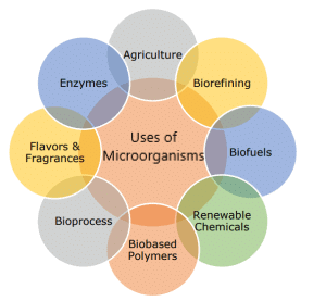 Class 7 Science Chapter 2 Question Answers - Microorganisms : Friend or Foe