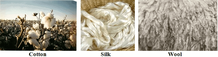 Synthetic Fibres and Plastics Class 8 Notes Science