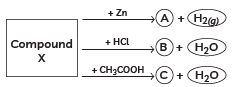 Class 10 Science - Previous Year Questions - Acids Bases and Salts