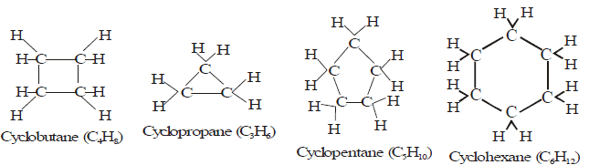 Chains, Branches, Rings & Homologous Series | Science Class 10