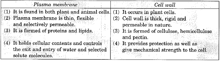 Class 9 Science: Sample Question Paper- 9 (With Solutions)