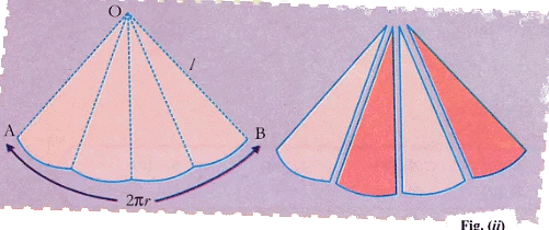 Lab Manual: Surface Area of a Cone - Class 10