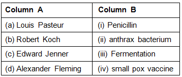NCERT Exemplar Solutions: Microorganisms : Friend or Foe | Science Class 8