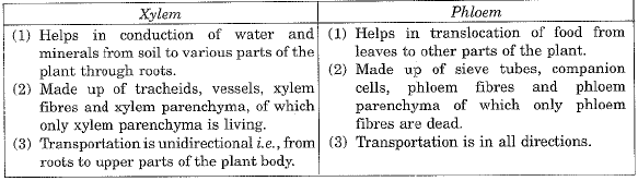 Class 9 Science: Sample Question Paper- 11 (With Solutions)