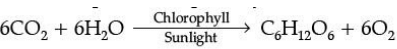 Class 10 Science: CBSE Sample Question Paper (2020-21) - 2 | Science Class 10