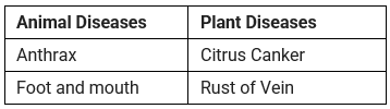 Lakhmir Singh & Manjit Kaur: Microorganisms Friends and Foe- 3 | Lakhmir Singh & Manjit Kaur Solutions: Class 8 Science