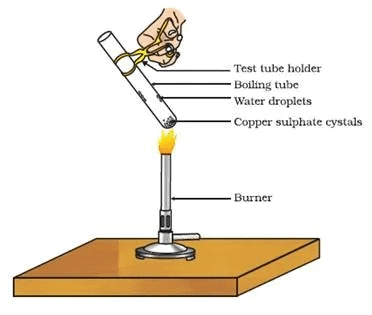 NCERT Based Activity : Acid, Bases and Salts | Science Class 10