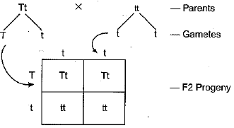 Class 10 Science: CBSE Sample Question Paper (2019-20) - 7 | Science Class 10