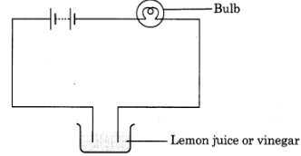 Testing Conduction of electricity in lemon juice or vinegar