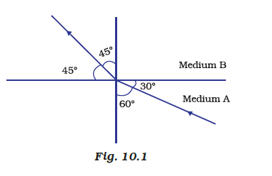 NCERT Exemplar: Light - Reflection & Refraction | Science Class 10