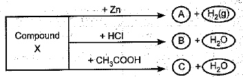Class 10 Science: CBSE Sample Question Paper (2019-20) - 8 | Science Class 10