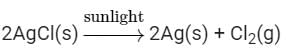 Board Paper of Class 10 2019 Science Delhi(Set - 1) | Past Year Papers for Class 10