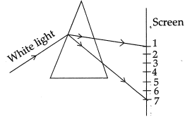 Class 10 Science: CBSE Sample Question Paper (2019-20) - 3 | Science Class 10