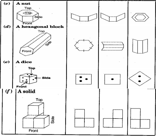 Visualising Solid Shapes NCERT Solutions - Class 8