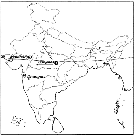 Map Based Questions: Pastoralists in the Modern | Social Studies (SST) Class 9