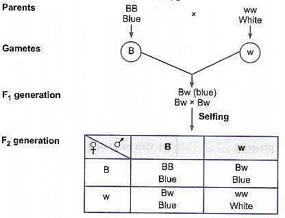 Previous Year Questions 2015