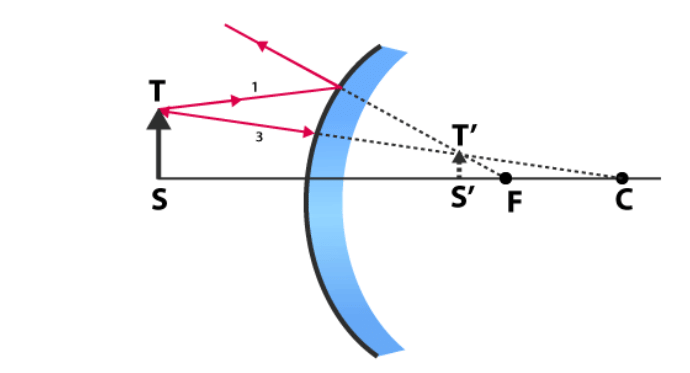 NCERT Exemplar: Light - Reflection & Refraction | Science Class 10
