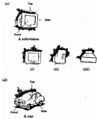 Visualising Solid Shapes NCERT Solutions - Class 8