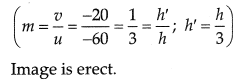 Class 10 Science: CBSE Sample Question Paper (2019-20) - 8 | Science Class 10